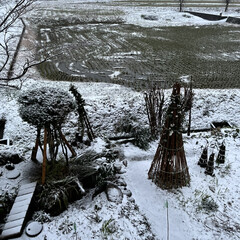 雪/田舎/風景 シンシンと雪が降っています❄𓂃𓈒𓏸︎︎︎︎(1枚目)