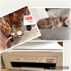 セール/家電/衣替え/ペット/住まい GAPでサンダルが290円(笑)
即買い…