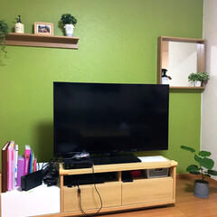 グリーン/テレビボード/アクセントクロス/ペイント/ウンベラータ/観葉植物 壁をペイントしてからすぐに無印の壁に付け…(1枚目)