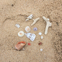 沖縄/海/旅行/家族旅行 大好きな沖縄の海。驚くほどに砂浜が白くて…(1枚目)