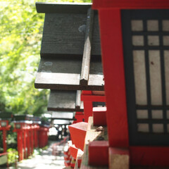 旅行/京都/貴船神社/わたしのお気に入り 京都に旅行に行った際の貴船神社での写真で…(1枚目)