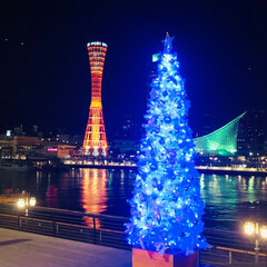 イルミネーション/クリスマスツリー/風景/おでかけ/クリスマス 前置きはさて置き(笑)
神戸はルミナリエ…(10枚目)