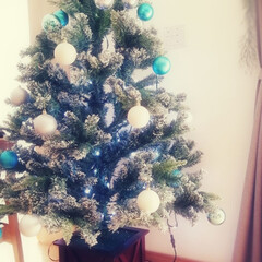 冬/クリスマスツリー/クリスマス2019/リミアの冬暮らし/雑貨/住まい/... 12月に入ったので、クリスマスツリーを出…(1枚目)