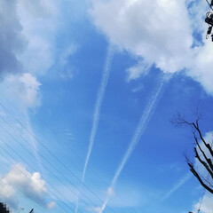 ブルーインパルス風/飛行機雲/雲/空/冬/おでかけ/... 外出中の道中で見つけた飛行機雲☁
ブルー…(1枚目)