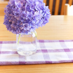 ダイニングテーブル/手作りおやつ/ガーデニング/花壇/花が好き/花のある生活/... 先程投稿した、花壇の紫陽花をちょっと拝借…(1枚目)