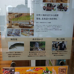 北海道フェア/鰻の駅/おでかけ/おすすめアイテム/暮らし お休みなので、ドライブランチ❗️🍴
鰻の…(4枚目)