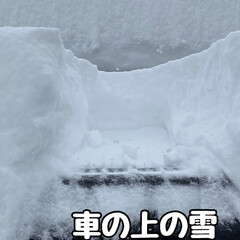 串揚げ/大雪 ニュースになっているとは思いますが、札幌…(5枚目)
