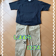 ロゴスデイズ/ロゴス/しまむらコラボ/しまむら購入品/しまむら 母がしまむらに行きたいと言うので、連れて…