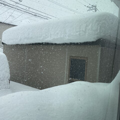 串揚げ/大雪 ニュースになっているとは思いますが、札幌…(4枚目)