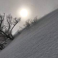 北海道/スキー/雪 上の娘がスキー⛷に行って、写真を送ってく…(2枚目)
