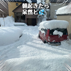 マカロン/雪かき/大雪 今朝、起きて外を見たら、信じられない位の…