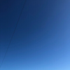 青空/散歩/自然/発見/おでかけ/暮らし 今日の空。雲ひとつないってこのことだね。(1枚目)