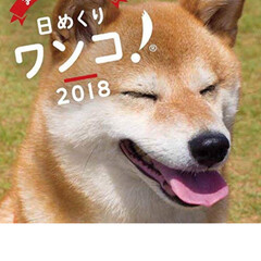 カレンダー/日めくりワンコ 2018/HERO🐶くん/ペット/犬 
ワン🐶ちゃんの写真が日めくりで楽しめる…(2枚目)