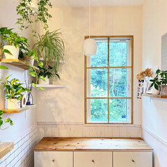 キッチン/観葉植物 ダイニング窓に窓枠付けました🪟 既存のロ…(1枚目)