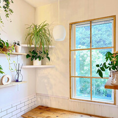 キッチン/観葉植物 ダイニング窓に窓枠付けました🪟 既存のロ…(2枚目)