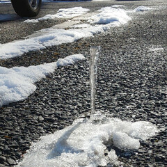 冬の朝/おでかけワンショット 夜勤明けの朝 
 駐車場で見つけた氷柱
…(1枚目)