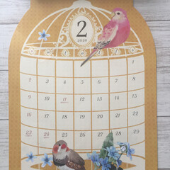 インコ/鳥/カレンダー/セリア/100均/雑貨/... Seriaの来年のカレンダー❤
毎月楽し…(2枚目)