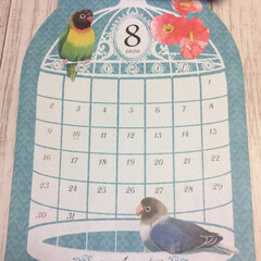インコ/鳥/カレンダー/セリア/100均/雑貨/... Seriaの来年のカレンダー❤
毎月楽し…(3枚目)
