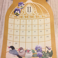 インコ/鳥/カレンダー/セリア/100均/雑貨/... Seriaの来年のカレンダー❤
毎月楽し…(4枚目)