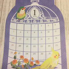 インコ/鳥/カレンダー/セリア/100均/雑貨/... Seriaの来年のカレンダー❤
毎月楽し…(1枚目)