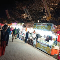 LIMIAおでかけ部/おでかけ/春の一枚 舞鶴公園の夜桜で花見。

車なんで
飲め…(4枚目)