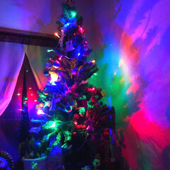 家/イルミネーション/クリスマス/クリスマスツリー 我が家のクリスマス飾りぃ✨✨

今年は外…(1枚目)