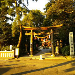 秋 進雄神社の秋のお祭り。神楽を見物してきま…(2枚目)