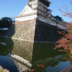 秋/風景/旅 北九州の小倉城です。小倉の街の中にあるの…(1枚目)