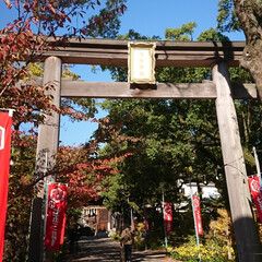 秋/風景/旅 北九州の小倉城です。小倉の街の中にあるの…(4枚目)
