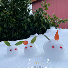 庭/年末年始/義実家/雪うさぎ/雪だるま/ナチュラルキッチン/... 🐰HAPPY NEW YEAR 202…