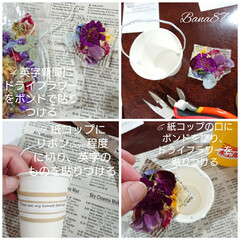 Handmade/花/髪コップ/作り方/雑貨/Bana87/... 紙コップを使って①
紙コップを使って雑貨…(3枚目)