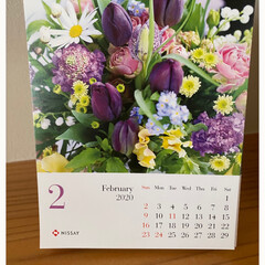 日生のカレンダー/今日のお花 今日のお花☆

かなり放っておいてますが…(2枚目)