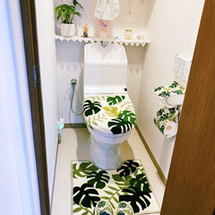 トイレカバー/トイレットペーパーホルダー/トイレ/モンステラ お恥ずかしいのですが、ご覧下さい……🙇🏻…