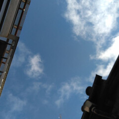 空/風景 ９︰２９
今日は青空。
明日までガンバロ…(1枚目)