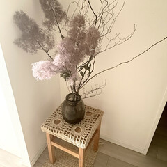 DIY/インテリア/雑貨 洗面室には紫陽花、玄関にピンクスモークツ…(2枚目)