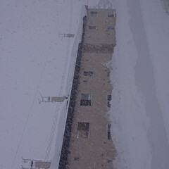 我が家のモコ😸/屋根の落雪/雪❄️ モコネコ🐱の思い出🎶
一階は屋根の落雪❄…(2枚目)