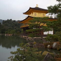 旅行 一個前は八坂神社と祇園の写真だけでした😅…(1枚目)