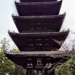 旅行 一個前は八坂神社と祇園の写真だけでした😅…(3枚目)