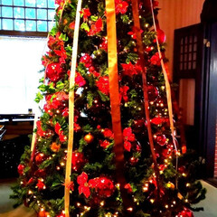 クリスマス/クリスマスツリー/旅行 クリスマスにギリギリ間に合った☺️ 北野…(2枚目)