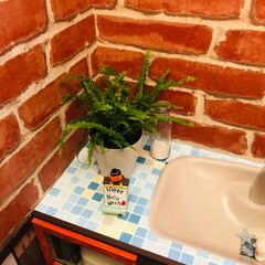 ダイソー/トイレ/DIY 風水的にトイレは重要！
オレンジ系の色が…(6枚目)