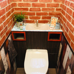 ダイソー/トイレ/DIY 風水的にトイレは重要！
オレンジ系の色が…(5枚目)