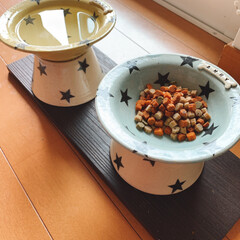 愛犬専用スペース/愛犬/愛犬グッズ/犬との生活/犬との暮らし/食器/... ドッグフードを入れる器に名前を入れてもら…