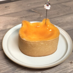ペンダントライト/ねこねこねチーズケーキ/チーズケーキ/キッチン/カフェ風 今日はパパさんの誕生日祝い🎉
〝ねこねこ…(2枚目)