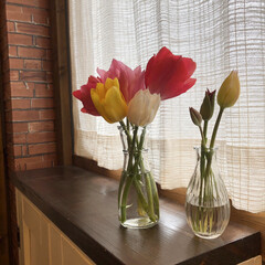花/春の花/ナチュラルインテリア/花のある暮らし/チューリップ/インテリア/... 昨日は主人の両親を我が家にご招待✨
お花…(2枚目)