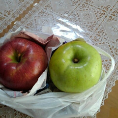 テーブル/秋の果物/りんご/我が家のテーブル 今テーブルの上からとてもいい匂い
りんご…(2枚目)
