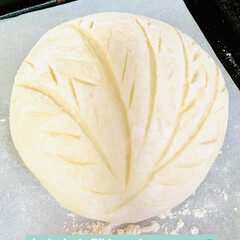 クープアートに初TRY/カンパーニュ/自家製天然酵母パン/手作りパン 手作りパン🥖
自家製天然酵母パン

この…(3枚目)