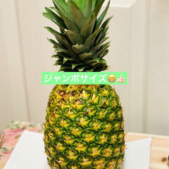 新鮮/安い/パイナップル🍍 昨日は、娘ファミリーが朝一で来ましたよ😅…