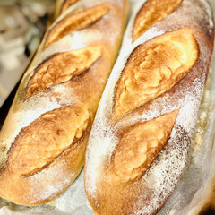 おもてなし/ジャンボフランス/自家製天然酵母パン/手作りパン 今朝はジャンボフランス🥖

今日は娘と孫…(2枚目)