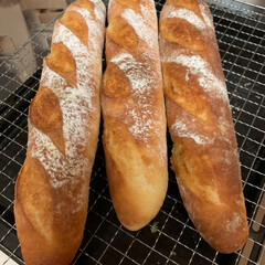 手作りパン/自家製天然酵母パン/フランスパン 最近は、フランスパン🥖ばっかり焼いてます。(1枚目)