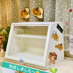 インテリア/ショーケース手作り/ダイソー/セリア/ハンドメイド/雑貨/... 🧑🏻🔧DIY初挑戦です🪚🪛🛠
ショー…